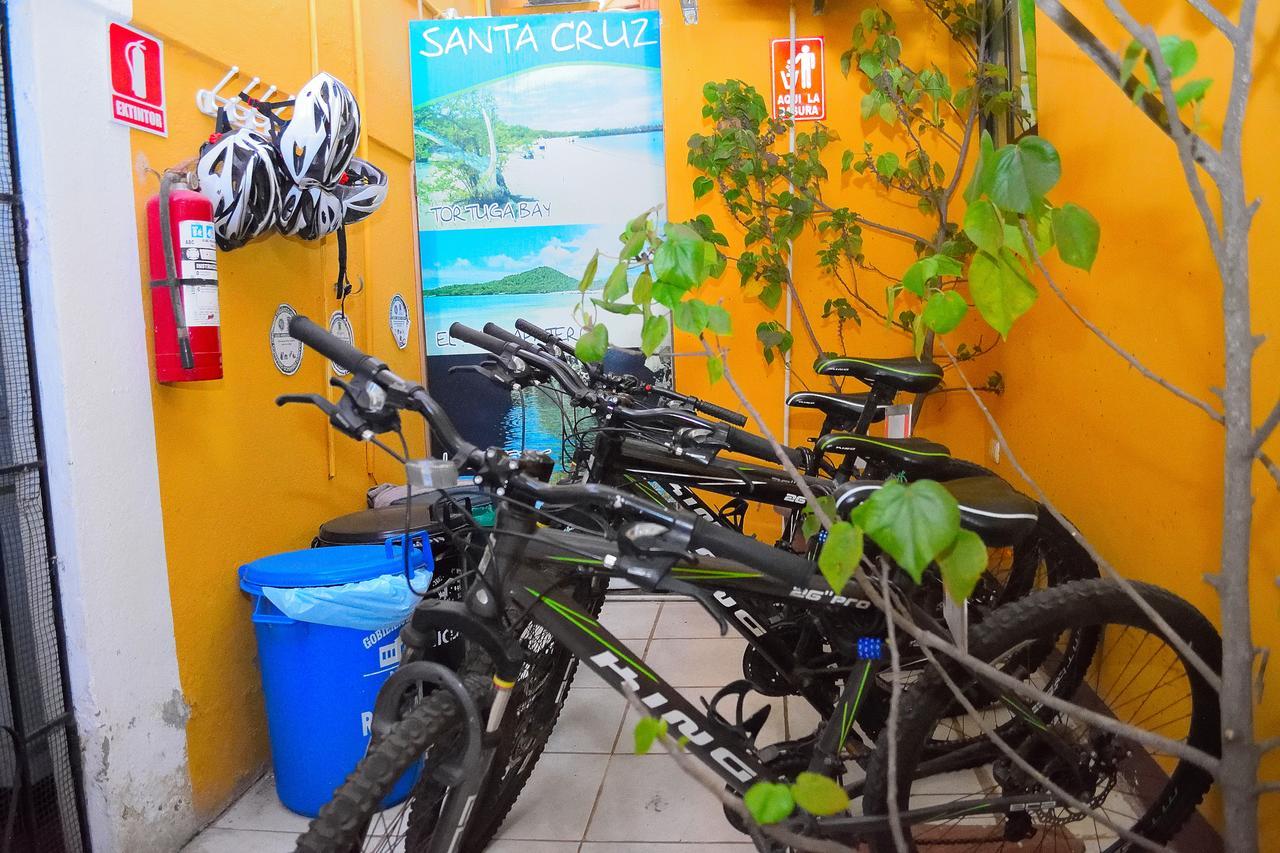 Tintorera Guest House Puerto Ayora  Luaran gambar